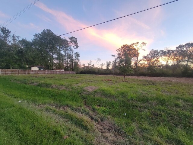 TBD Coach Light Forest, New Caney, TX 77357