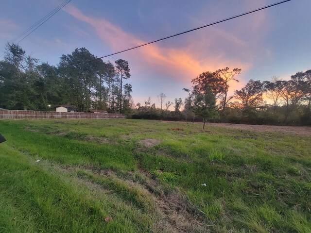 TBD Coach Light Forest, New Caney, TX 77357