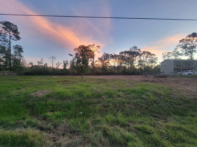 TBD Coach Light Forest, New Caney, TX 77357