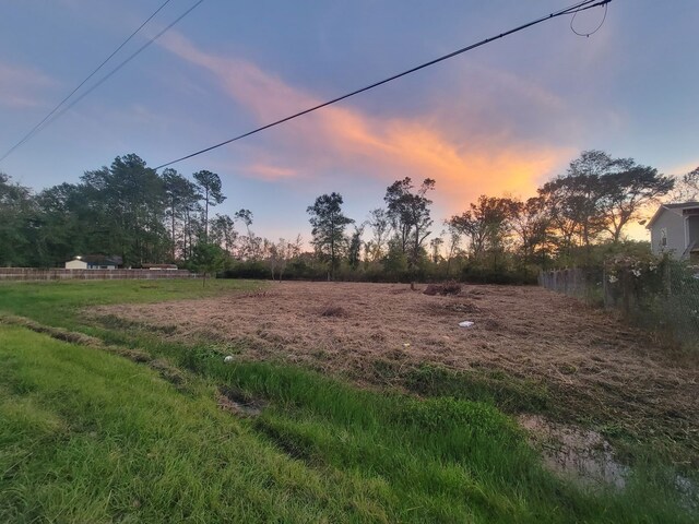TBD Coach Light Forest, New Caney, TX 77357