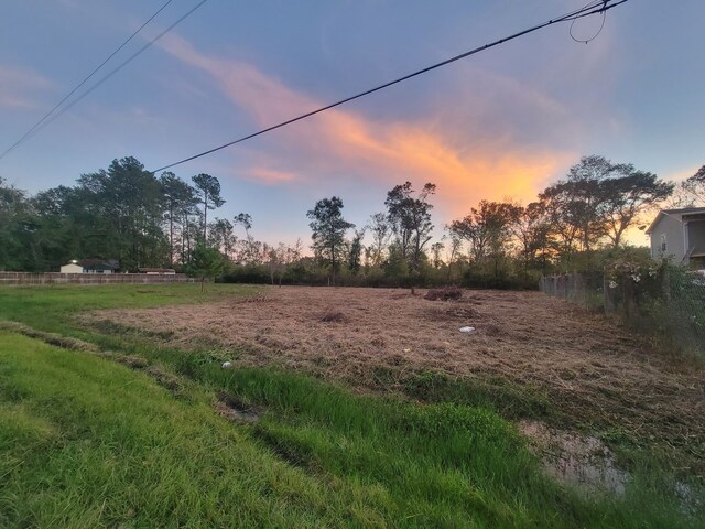 TBD Coach Light Forest, New Caney, TX 77357