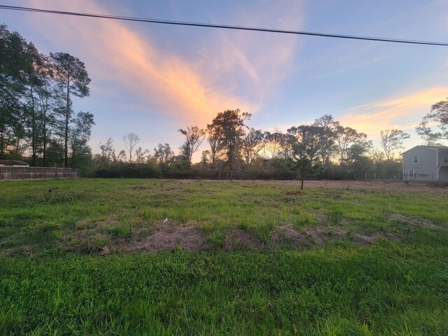 TBD Coach Light Forest, New Caney, TX 77357