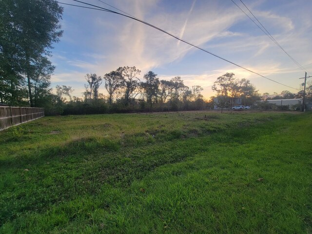 TBD Coach Light Forest, New Caney, TX 77357