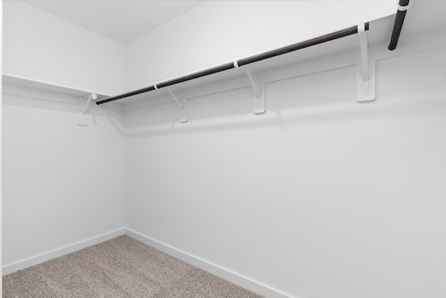 walk in closet with carpet