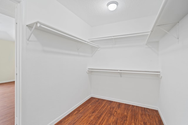 walk in closet with hardwood / wood-style floors