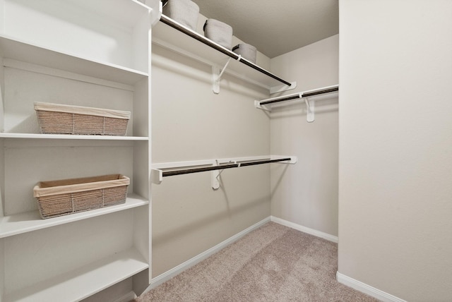 walk in closet featuring light carpet