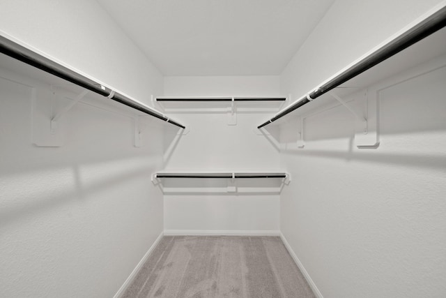 spacious closet featuring light colored carpet