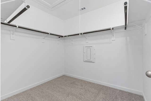 spacious closet featuring carpet floors and electric panel