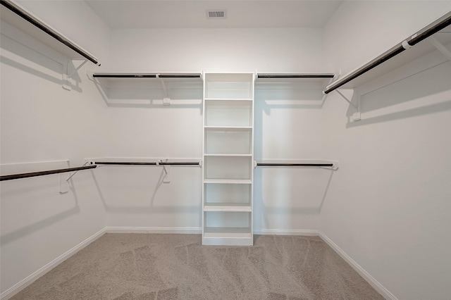 spacious closet with light carpet