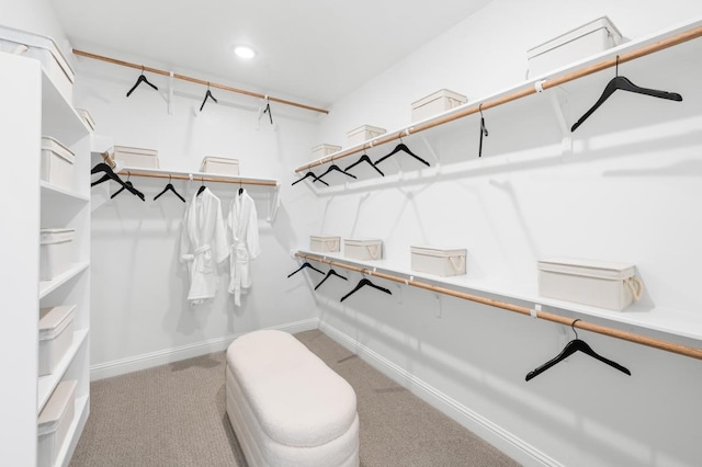 spacious closet featuring light colored carpet