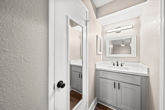 bathroom featuring hardwood / wood-style flooring and vanity