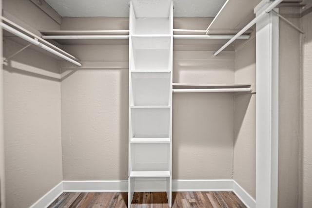 spacious closet with wood-type flooring