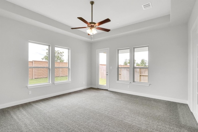 spare room featuring a raised ceiling and carpet flooring