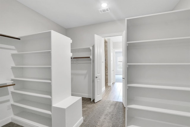 walk in closet with carpet