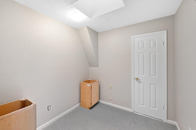 additional living space with light colored carpet, a textured ceiling, and a skylight