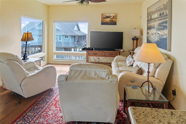 living room with ceiling fan and hardwood / wood-style flooring