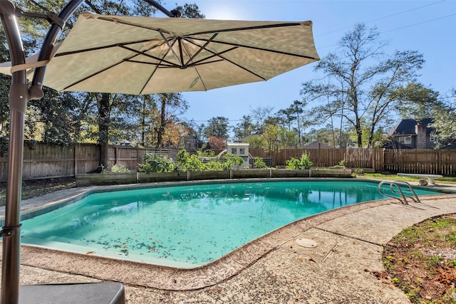 view of pool featuring a diving board