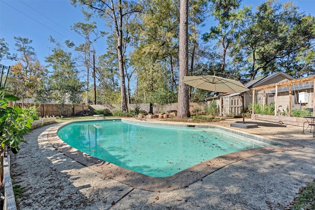 view of swimming pool with a storage unit and a patio