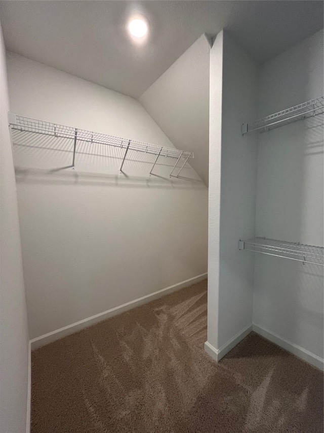 walk in closet with carpet flooring and vaulted ceiling