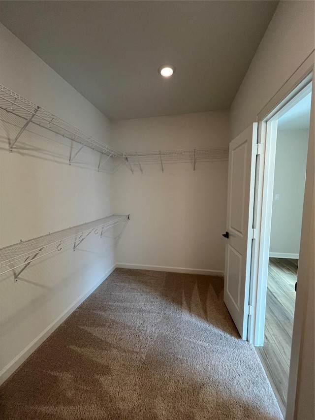 walk in closet featuring carpet floors