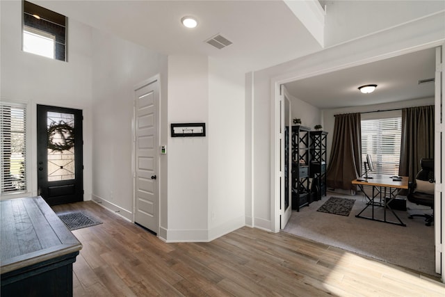 entrance foyer featuring a healthy amount of sunlight and hardwood / wood-style floors