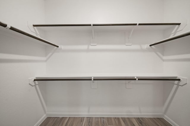 spacious closet with dark wood-type flooring