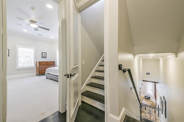 stairway with carpet, ceiling fan, and crown molding