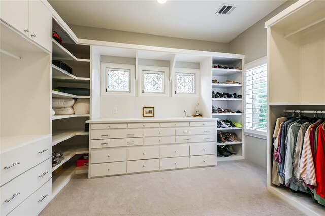 spacious closet featuring light colored carpet