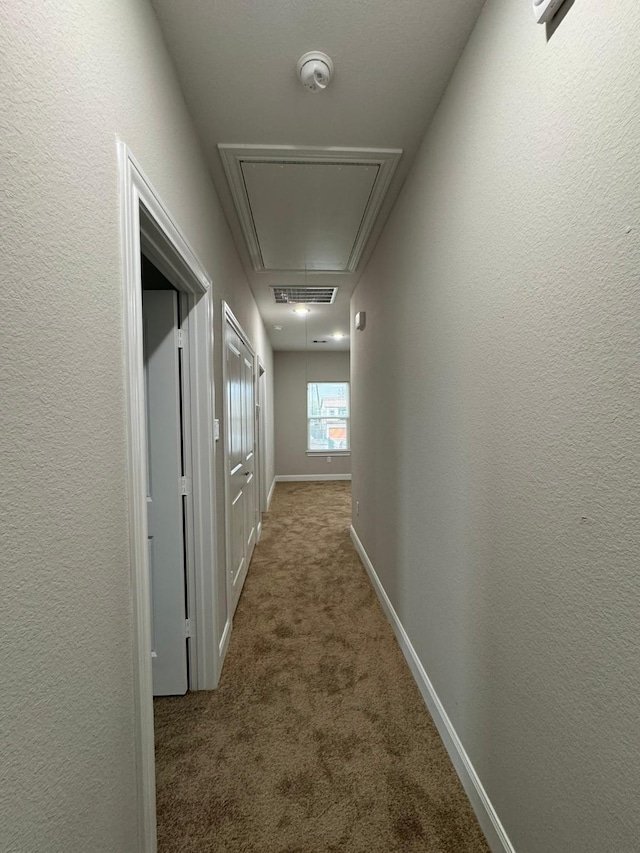 hall featuring carpet flooring