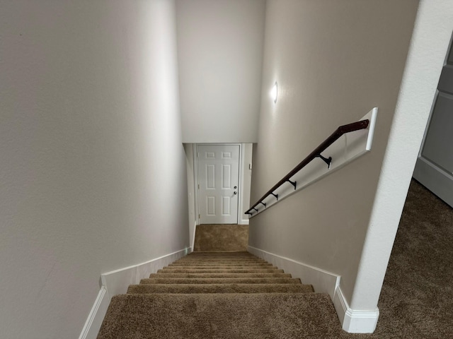 stairs with carpet flooring