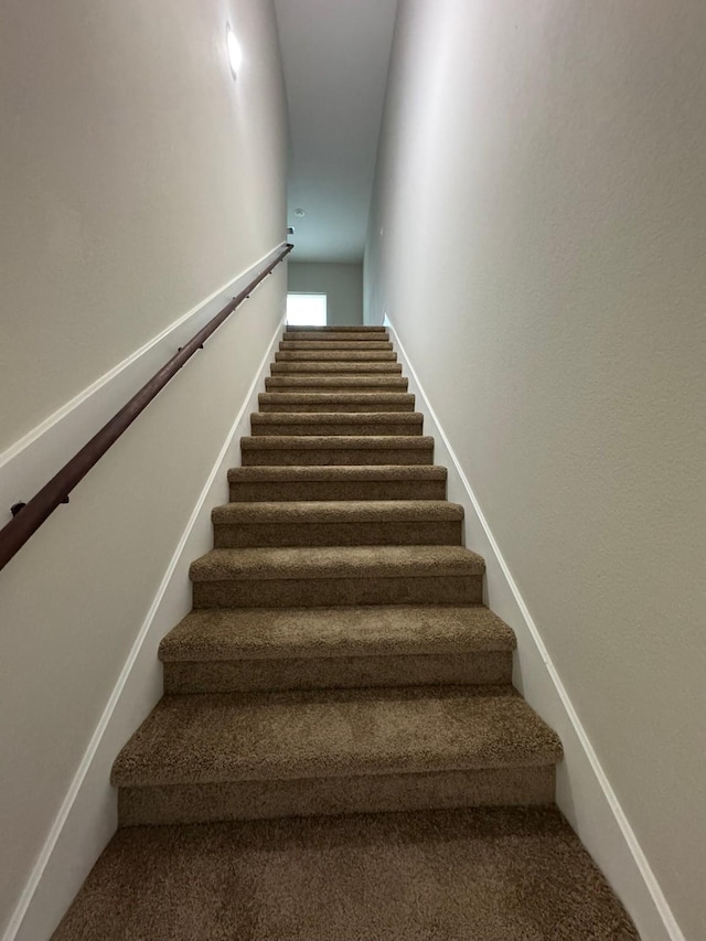 stairway featuring carpet flooring