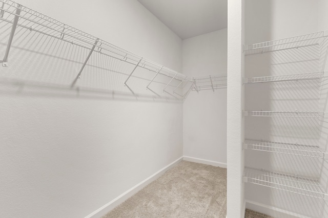 spacious closet featuring carpet