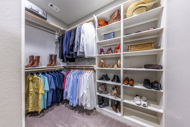 spacious closet with carpet floors