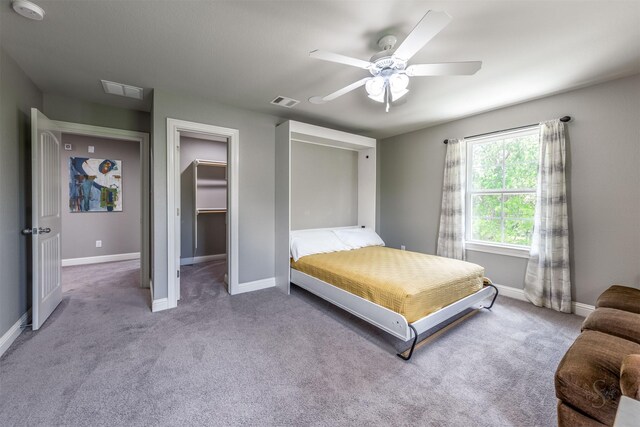 carpeted bedroom with ceiling fan, a spacious closet, and a closet