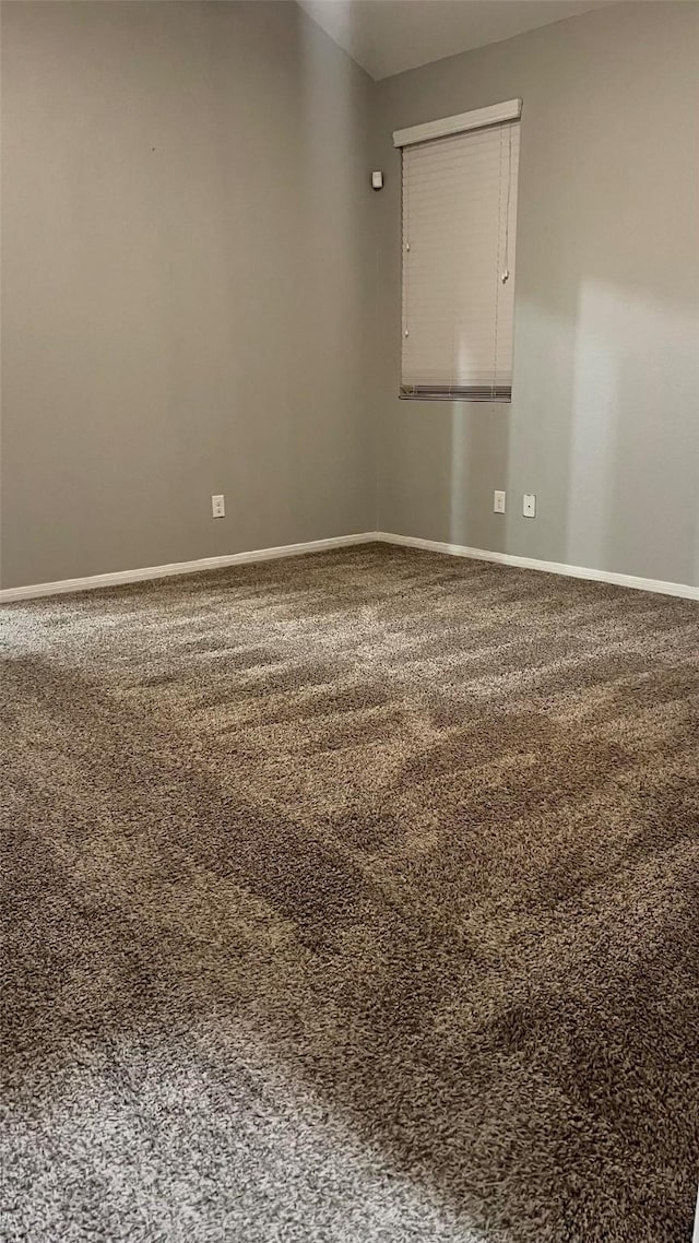 unfurnished room featuring carpet floors