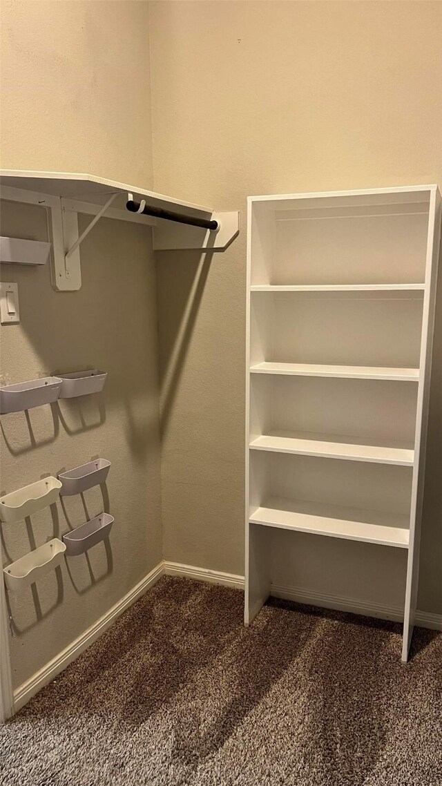 spacious closet with dark colored carpet