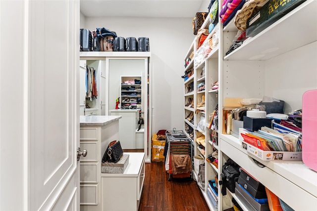 spacious closet with dark wood-type flooring