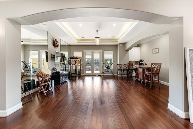 interior space with dark hardwood / wood-style floors, a healthy amount of sunlight, and a tray ceiling