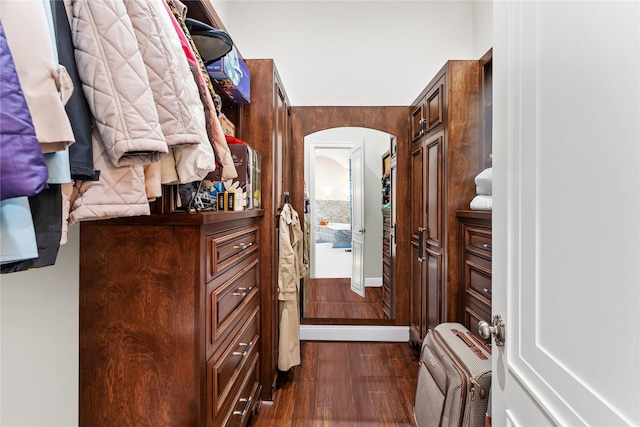 walk in closet with dark wood-type flooring