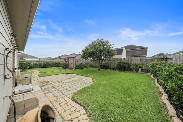 view of yard featuring a patio area