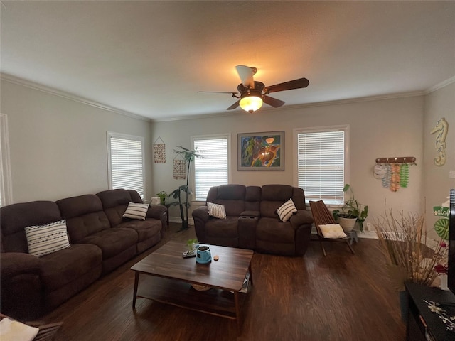 living room with ceiling fan, crown molding, and dark wood-type flooring