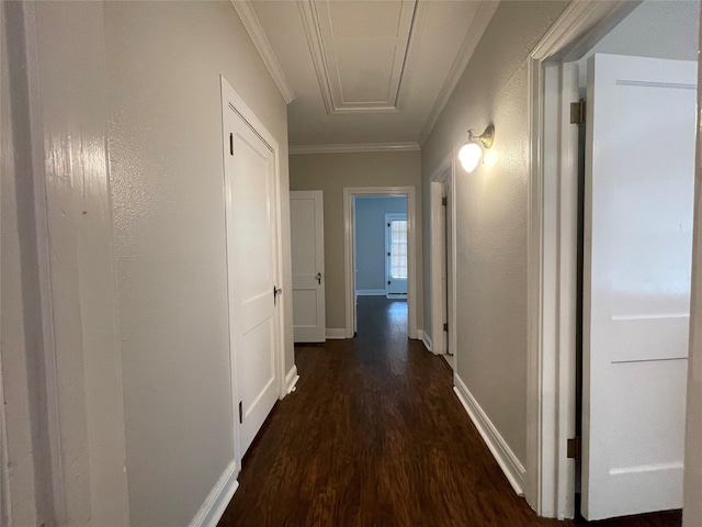 corridor with dark hardwood / wood-style floors and ornamental molding