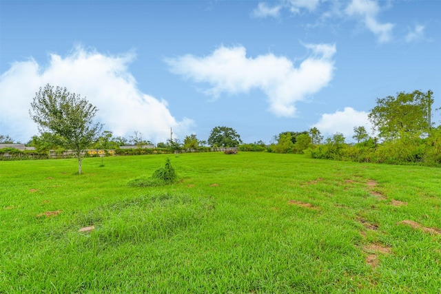 view of yard featuring a rural view