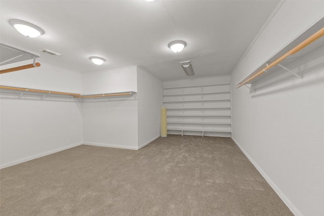 spacious closet featuring visible vents and carpet flooring