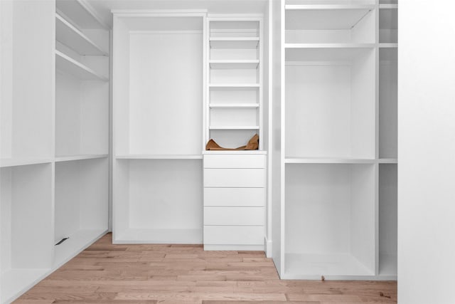 walk in closet featuring light wood-type flooring