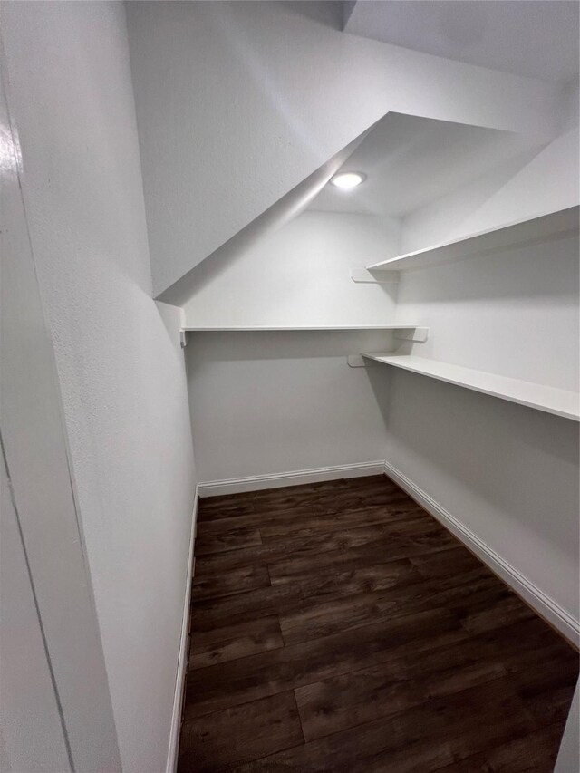 walk in closet featuring dark wood-type flooring