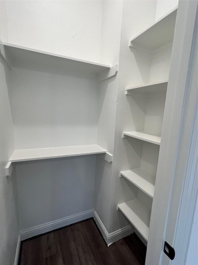 spacious closet with dark hardwood / wood-style flooring