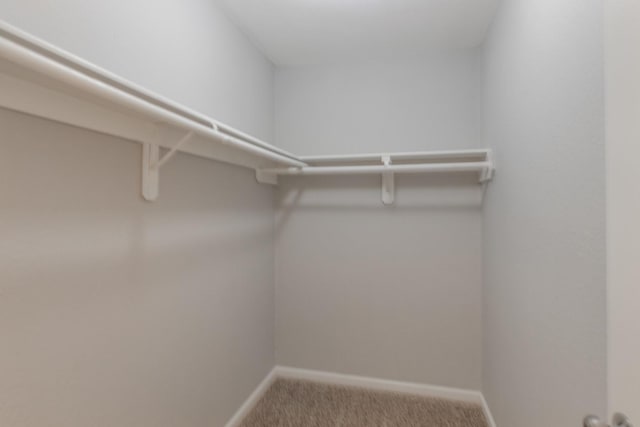 spacious closet with carpet