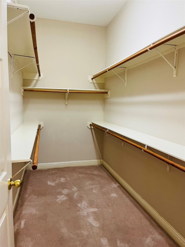 spacious closet featuring light colored carpet