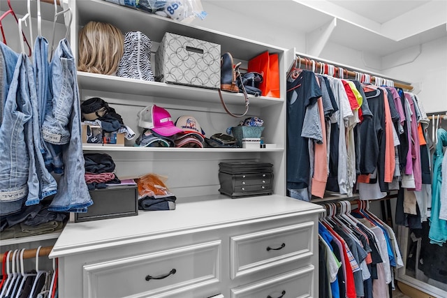 view of spacious closet